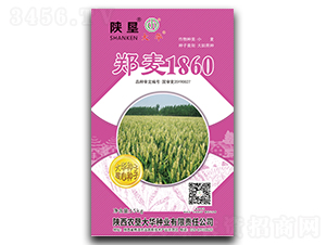 鄭麥1860-小麥種子-陜墾大華