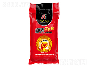柳麥716小麥種子-柳豐種業(yè)