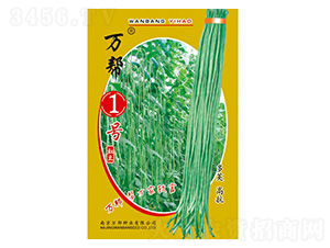 萬幫1號豇豆種子-萬邦種業(yè)