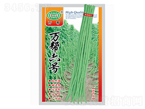 萬(wàn)幫六號(hào)-豇豆種子-萬(wàn)邦種業(yè)