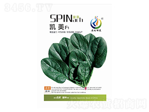 凱美-菠菜種子-康地科技