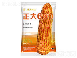 正大660-玉米種子-正大種業(yè)